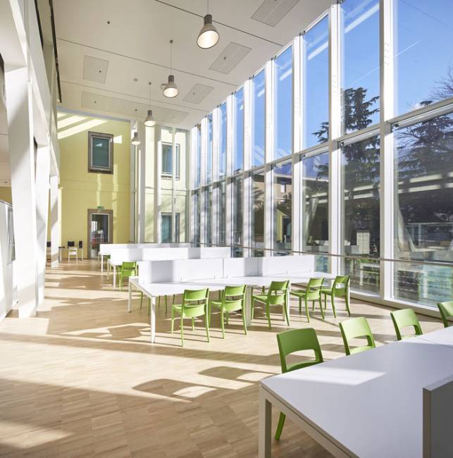 Стул пластиковый Sai зеленый 480х510х820 мм Стул пластиковый Sai зеленый 480х510х820 мм